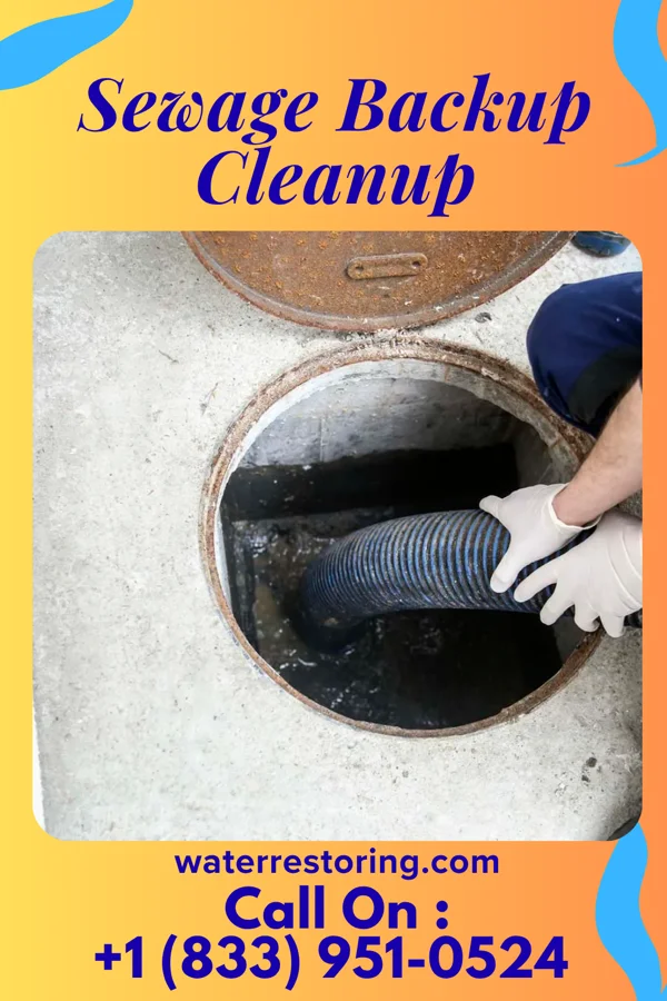 Sewage Backup Cleanup in Bedford Park, IL